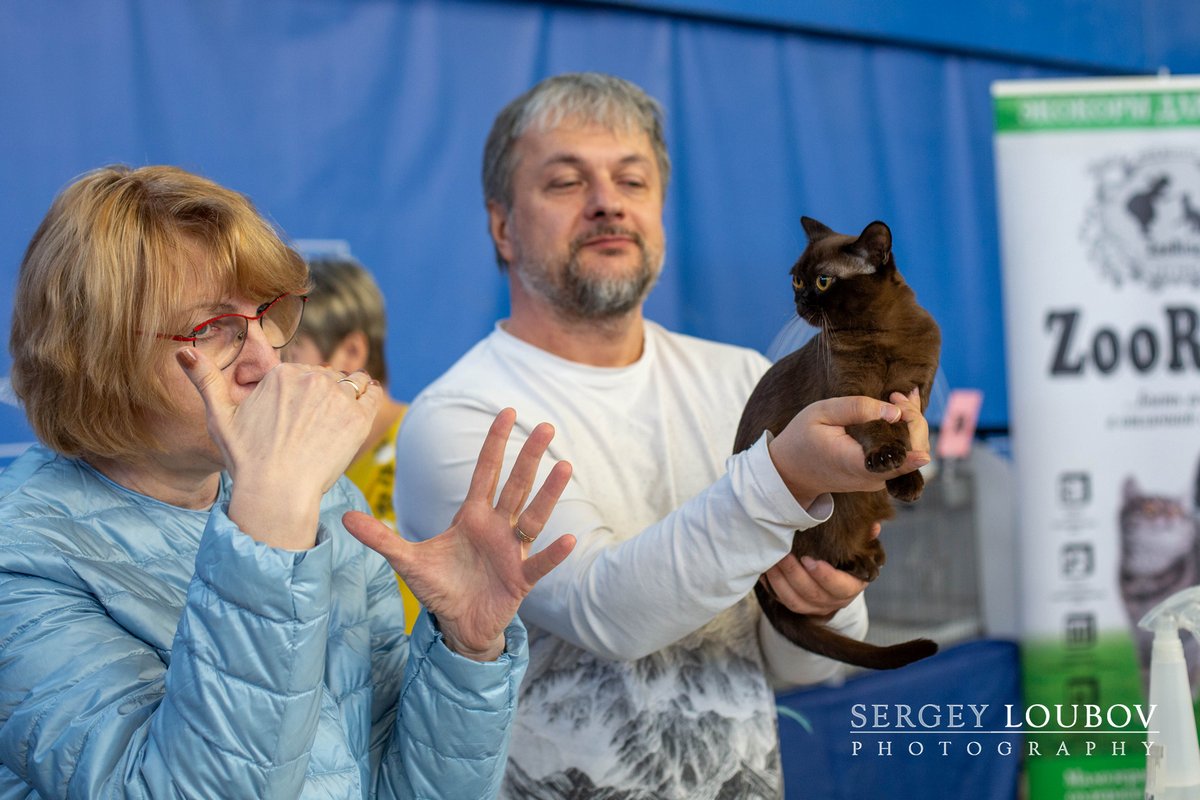 Любава Кузьминична: на описании в WCF-ринге молодых у Анны Назаровой | © 2026 Sergey Loubov